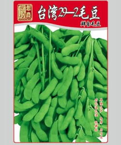 400g29-2毛豆