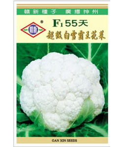 10g白雪霸王55天